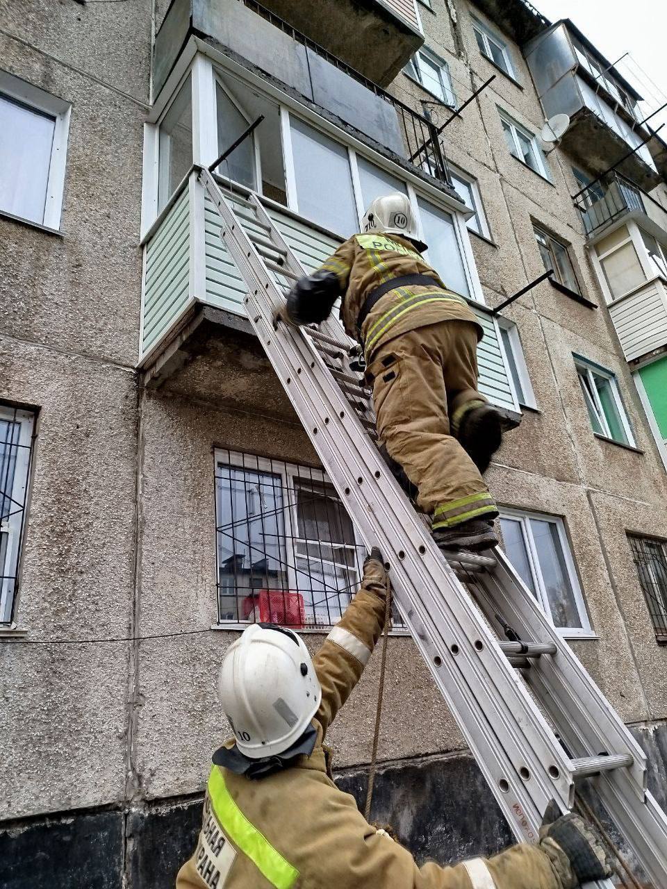 В КУРСЕ 22   Барнаул  В селе Новороманово Алтайского края 82-летняя женщина оказалась заперта из-за сломанного замка на входной двери.   Она обратилась в службу спасения, и пожарные проникли в дом через окно, вскрыв дверь.    mchs_altkray @