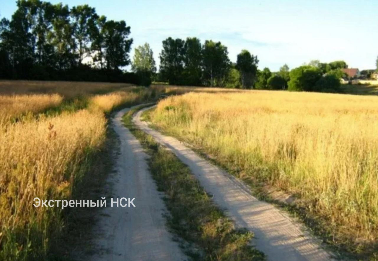 Хотел надругаться В Новосибирском районе жители поймали мигранта, который приставал к 17-летней девушке. История весьма странная, поэтому следователи еще будут разбираться. Юная барышня ехала на велосипеде по дороге, ведущей от села Ярково к СНТ “Металлург”. Остановила машину и попросила водителя подвезти ее. Свой транспорт закинула в “Шевроле” и села в салон. После версии попутчиков разнятся. Девочка уверяет, что 47-летний мужчина оголил свой половой орган и стал склонять её к интиму. А она выхватила из сумочки нож и отбилась от вероятного педофила. Когда о случившемся узнал ее папа, предполагаемого обидчика дочери, а заодно и его соотечественников, едва не линчевала разгневанная толпа. Но обошлось. Подозреваемого забрали сначала в отдел полиции, потом в СК. Возбуждено уголовное дело по статье покушение на изнасилование.