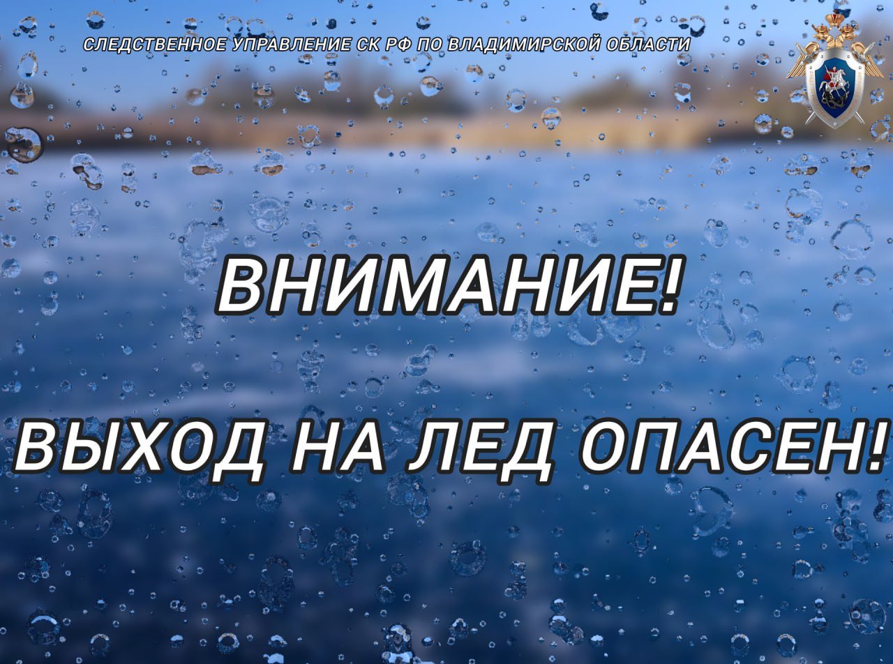 Следственное управление напоминает об опасности нахождения на льду водоемов в весенний период  Следственное управление обращает внимание на возросший риск происшествий на льду водоемов в связи с наступлением весеннего периода. В результате потепления лед деформируется, становится более тонким.   Чаще всего в опасные ситуации на льду попадают водители снегоходной техники, рыбаки, а также дети.  В целях предупреждения таких происшествий следственное управление СК России по Владимирской области призывает родителей несовершеннолетних провести беседы со своими детьми об опасности нахождения на водоемах в этот период времени.   Помните! Именно взрослые несут ответственность за жизнь и здоровье своих детей и должны своевременно обучить их правилам безопасного поведения.  Правила поведения на льду.