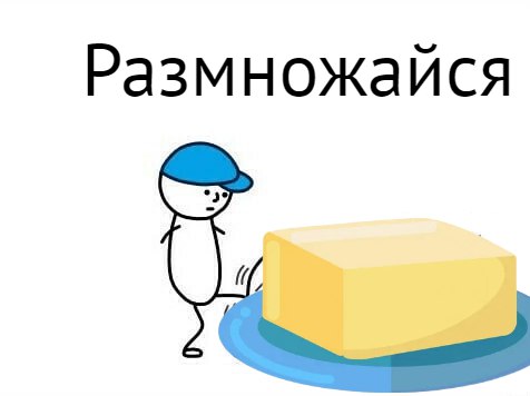 Минсельхоз России пообещал наращивание объемов выпуска сливочного масла по итогам 2024 года — ТАСС.