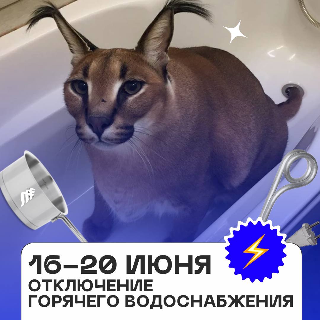 Новые даты отключения горячего водоснабжения В период с 16 по 20 июня ориентировочно во всех жилых, учебных и административных корпусах кампуса будет отключено горячее водоснабжение. В Медицинском комплексе вода будет подаваться без ограничений. Горячую воду отключат для проведения испытаний на тепловой сети «Мини-ТЭЦ «Центральная» — ДВФУ». Они обеспечат стабильное водо- и теплоснабжение в будущий отопительный сезон