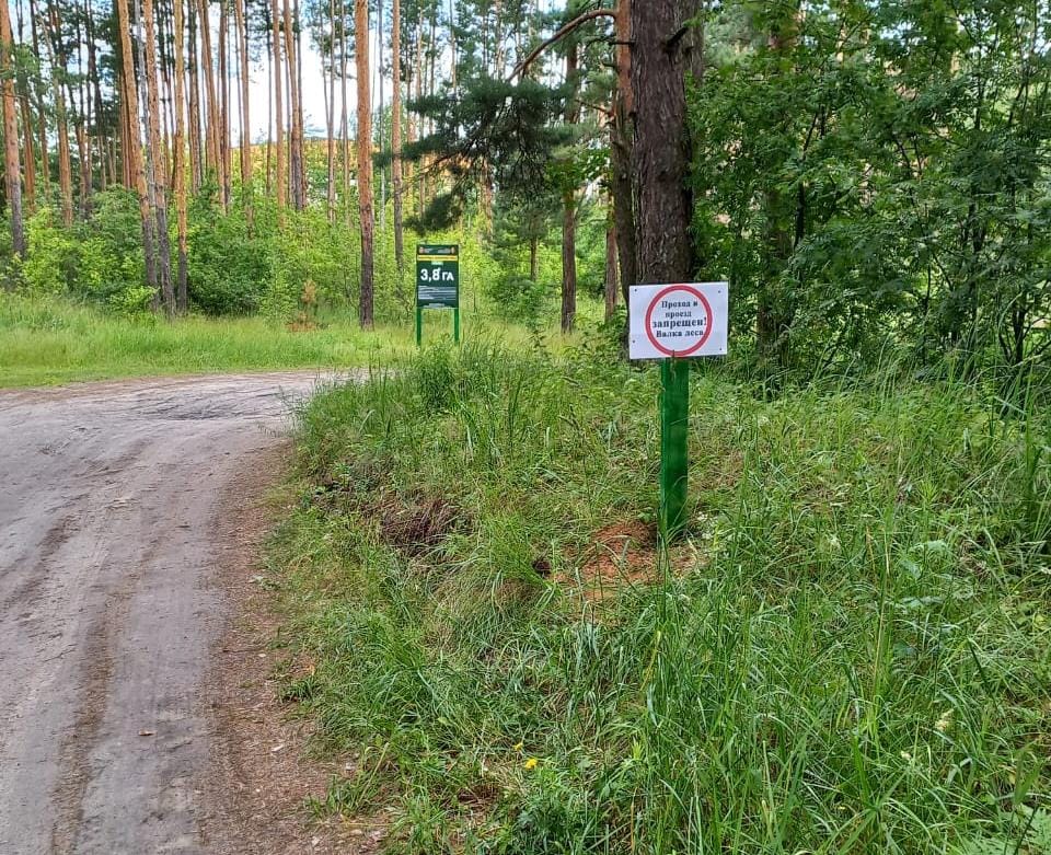 У озера Святое планируется провести санитарные рубки. Берег озера рядом с деревней Митинская благодаря живописной природе является излюбленным местом отдыха жителей и гостей муниципального округа Шатура. После проведения лесопатологического обследования на двух лесных участках общей площадью 7,4 гектара на территории Шатурского участкового лесничества запланированы выборочные санитарные рубки. По правилам вырубке подлежат деревья, которые утратили жизнеспособность в результате воздействия неблагоприятных факторов. На подъездных путях к лесному участку установлены знаки, предупреждающие о том, что ведётся валка леса, проход и проезд запрещены. Ведущий инженер по лесопользованию Шатурского филиала ГАУ МО «Мособллес» Полина Салманова пояснила, что данные меры носят временный характер. После проведения работ гулять по лесу можно будет спокойно и без препятствий.