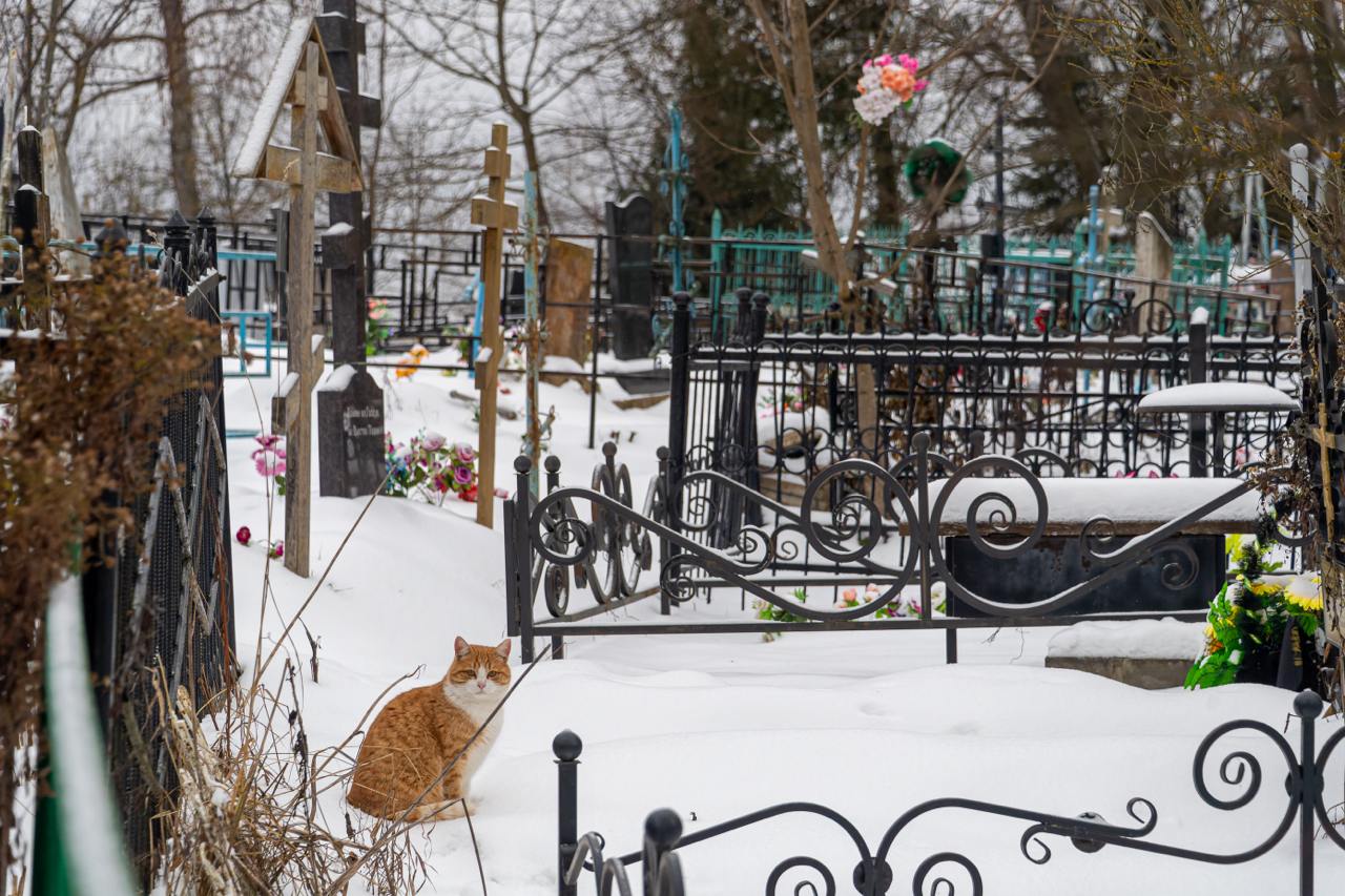 В Перми планируют увеличить количество мест на городских кладбищах на десятки тысяч в 2025 году   На кладбище «Заозерское» хотят обустроить около 8 тысяч площадок. В Закамске и на Кислотных дачах намерены расширить санитарно-защитную зону и возобновить захоронения. Там резерв около 2 тысяч мест. Такую зону планируют увеличить и на Северном кладбище.   В границах Мотовилихинского лесничества могут организовать 56 тысяч мест для захоронения. Власти Перми сейчас прорабатывают этот вопрос. На предпроектные работы в городском бюджете предусмотрено 7,5 млн рублей.     Подпишись на «КП-Пермь»