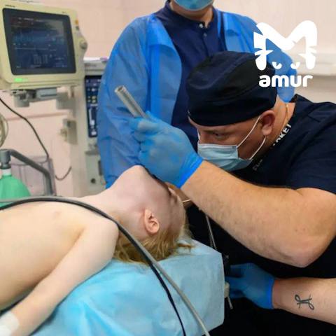 Кровавая рвота случилась у ребёнка после употребления колы во Владивостоке Он в больнице 12 летнего мальчика госпитализировали с сильной болью в животе Во время обследования врачи нашли микрокровоизлияния на слизистой желудка это могло привести к эрозивному гастриту По словам медиков подросток часто пил газировку Его ждет долгое лечение В последнее время в регионе выросло количество подобных случаев   Телегу замедляют подписывайся на нас в MAX