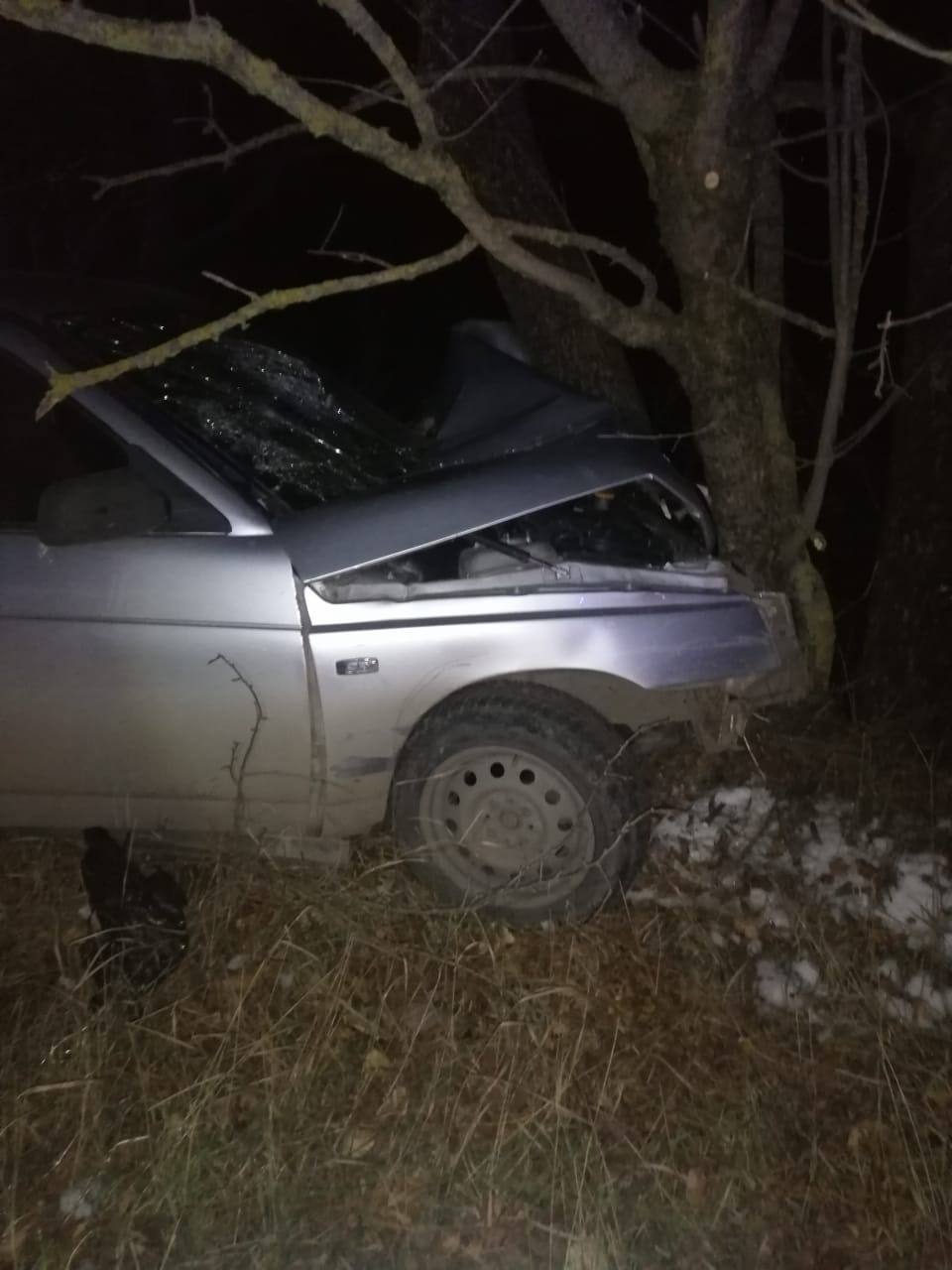 При наезде машины на дерево в Ингушетии погиб человек  В Малгобекском районе после наезда легкового автомобиля на дерево один человек погиб, другой пострадал. Об этом в среду, 6 ноября, сообщили газете «Ингушетия» в региональном МЧС.  Инцидент произошёл на автодороге «Бековичи — Вознесенская» 5 ноября в 23:40 по московскому времени. Водитель ВАЗ-2110 потерял управление и врезался в дерево.  Травмированный пассажир был доставлен в Малгобекскую центральную районную больницу.  На месте ДТП работали сотрудники поисково-спасательного отряда «Тарко».   ПОДПИСАТЬСЯ  ПРЕДЛОЖИТЬ НОВОСТЬ