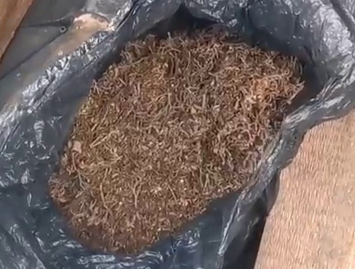 За хранение марихуаны черногорец приговорен к колонии особого режима В январе полицейскими Черногорска, в ходе проведения оперативно-розыскных мероприятий, у ранее судимого местного жителя 1972 года рождения изъяли 207 граммов марихуаны. Мужчина пояснил, что собрал запрещённое растение с целью личного потребления на улице Загородная. В отношении гражданина было возбуждено, расследовано и направлено в суд уголовное дело за незаконные приобретение, хранение, перевозку, изготовление, переработку без цели сбыта наркотических средств в крупном размере. По решению Черногорского городского суда фигурант дела приговорён к 3 годам лишения свободы с отбыванием наказания в исправительной колонии особого режима. Приговор вступил в законную силу. Вести. Хакасия Подписаться