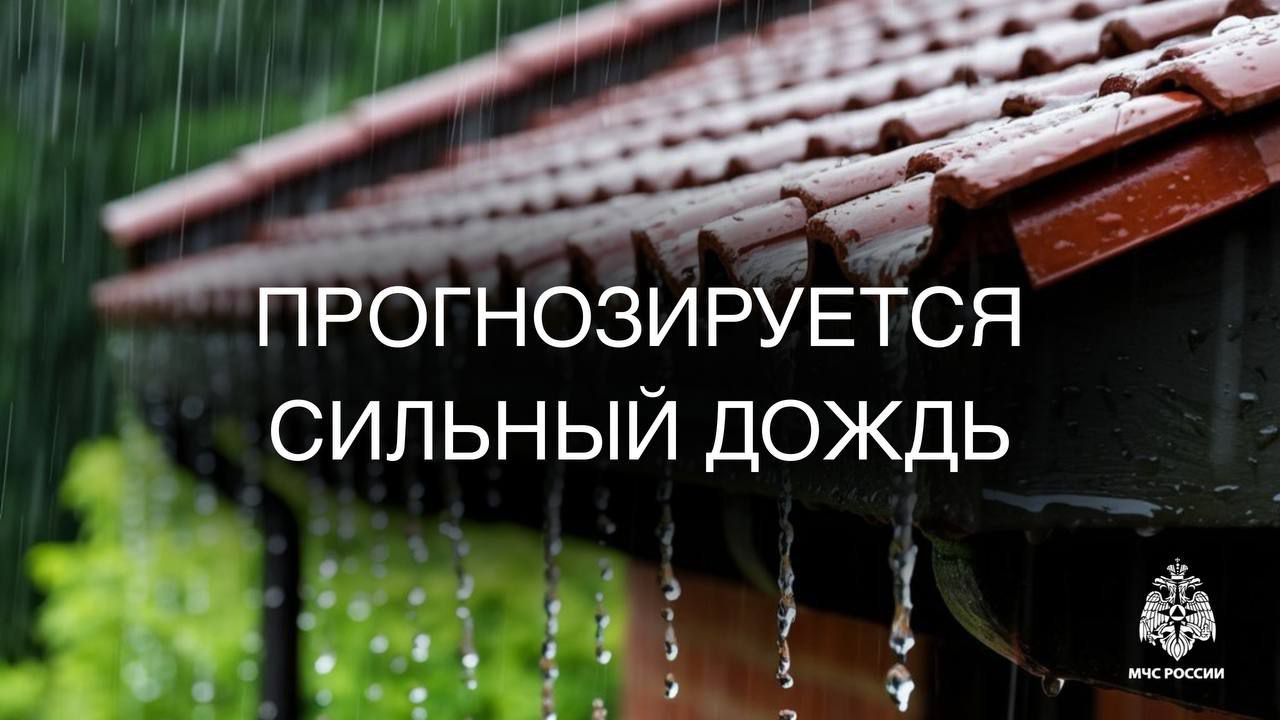 Сильный дождь прогнозируется в северных районах Сахалина По информации Сахалинского Росгидромета, ночью и утром 13 июля 2025 года на территории Охинского и Ногликского районов ожидается сильный дождь, местами очень сильный дождь. Обстановка, связанная с прохождением циклона, находится на контроле ГУ МЧС России по Сахалинской области. Напоминаем: без особой необходимости не покидай пределы населённого пункта; на дороге соблюдай скоростной режим и дистанцию; уточни местонахождение родных и близких, предупреди о надвигающемся дожде; туристическим группам, находящимся на маршрутах, следует переждать непогоду в подготовленных для этого местах; Ваша безопасность- ваша ответственность! Единый телефон вызова экстренных служб: 112.