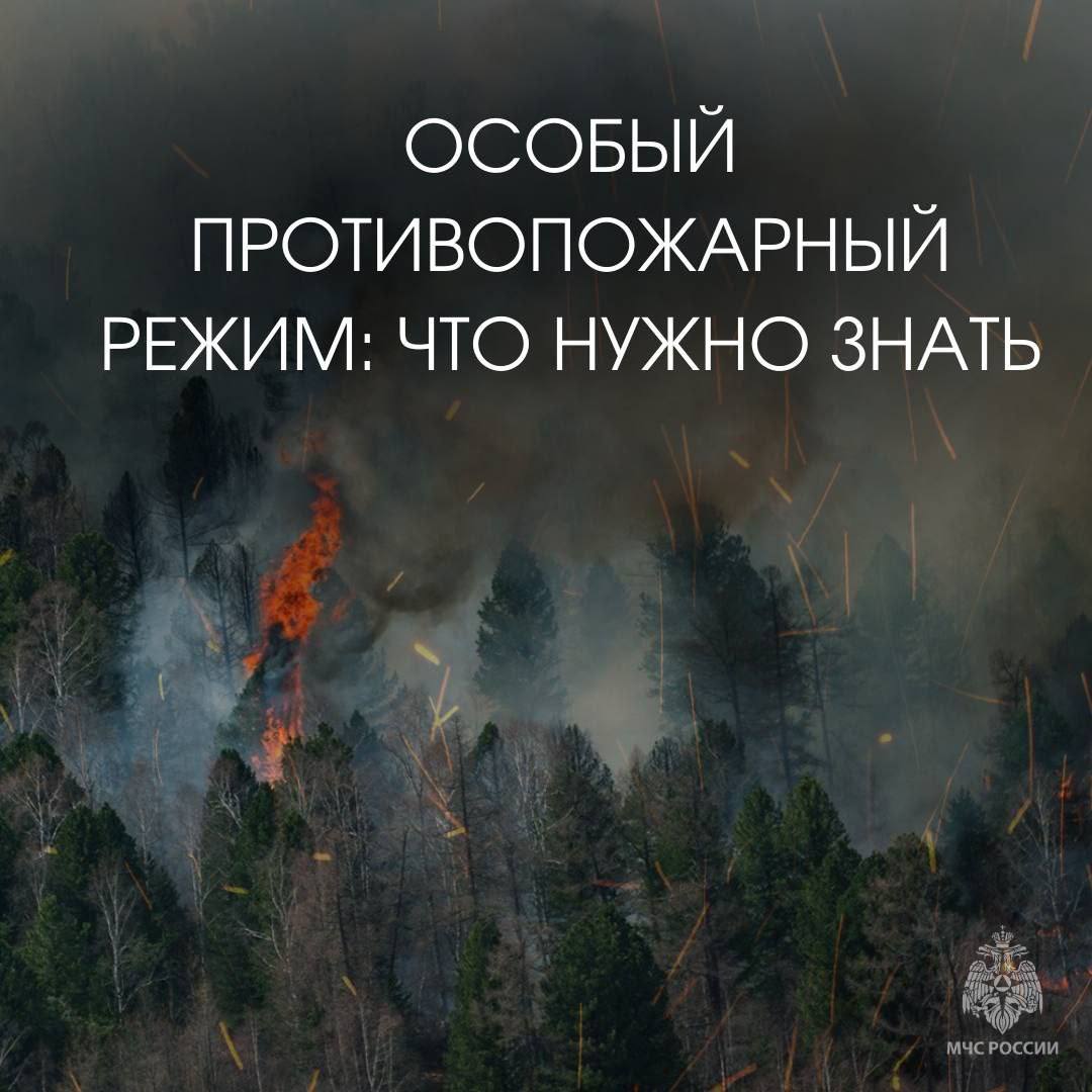 Главное управление МЧС России по Приморскому краю напоминает, что в период действия режима запрещено:    посещение лесов;   разведение костров, а также сжигание мусора и сухой растительности;   использование мангалов и иных приспособлений для тепловой обработки пищи с помощью открытого огня.    Нарушение правил пожарной безопасности в период действия особого противопожарного режима предусматривает административные штрафы. Так, согласно статье 20.4 КоАП РФ штрафы составляют:   для граждан до 20 тысяч рублей;   для должностных лиц до 60 тысяч рублей;   для индивидуальных предпринимателей до 80 тысяч рублей;   для юридических лиц до 800 тысяч рублей.   Ваша безопасность - ваша ответственность!