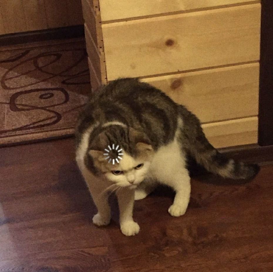 Думать хорошо но надо знать меру Врачи предупреждают длительная умственная нагрузка повышает пульс давление и риск сердечных проблем гипертония аритмия и др Поэтому советуют работать головой по 3 4 часа в день и делать перерывы каждый час иначе организм быстро уходит в стресс беру перерывы по расписанию ну всё работать официально вредно НМШ