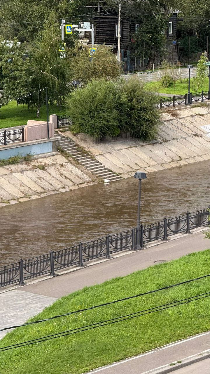 Гусь-потеряшка грустит на реке Кача в Красноярске, сообщают наши коллеги из Краскома Домашняя птица прибилась к берегу в районе Парижской Коммуны, 41. Очевидцы полагают, что из-за подъема воды в реке гуся могло смыть с какого-нибудь подворья.