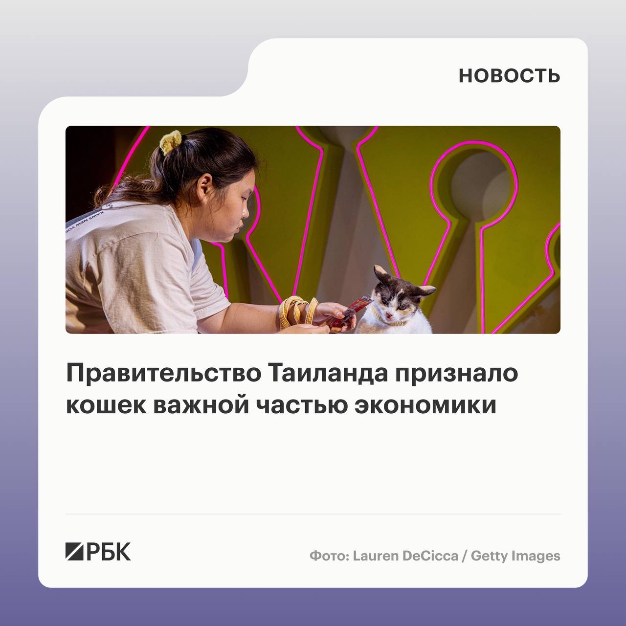 Рынок товаров и услуг для кошек в Таиланде достиг 367 8 млрд бат 11 8 млрд правительство признало этот сектор важной частью экономики пишет Nikkei Asia В ноябре прошлого года власти признали пять местных пород сиамскую супхалак корат конжа и кхао мани национальными символами Такая мера должна сохранить генетику и стимулировать экономику эти породы являются неотъемлемой частью тайских верований обычаев местной мудрости и культурных практик заявили в правительстве Издание отмечает что рынок любителей кошек превысил аналогичный рынок для собак 226 8 млрд бат или 7 2 млрд Спрос на кошек как более компактных питомцев стимулируют урбанизация и дефицит жилищного пространства говорится в материале РБК в Telegram и MAX