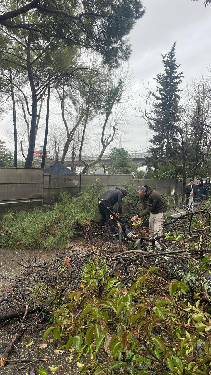 Дерево рухнуло на проезжую часть Новороссийского шоссе.  Все произошло возле Спутника. Движение полностью перекрыто на съезде с трассы А-147.  На месте работают специалисты.     Подписаться   Прислать новость