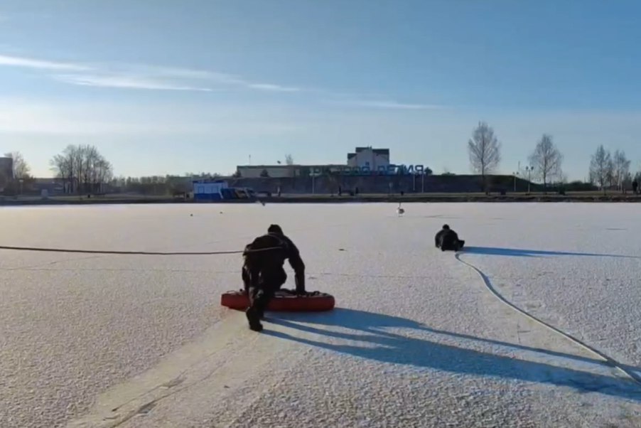 Специалисты ОСВОД выяснили причины необычного поведения лебедей на замерзающем водоеме в Витебске и в очередной раз убедились в справедливости рекомендаций экологов о подкормке пернатых в зимний период В акватории Витебской спасательной станции ОСВОД лебеди сидели на льду достаточно продолжительное время обрисовали ситуацию в ОСВОД Очевидцы пытались их сдвинуть с места чтобы понять нужна ли им помощь Те не шевелились Приехав на место водолазы поползли к птицам для спасения Когда оказались очень близко толстые лебеди встали один даже взлетел Как оказалось они наелись и не хотели двигаться  В природоохранных организациях страны предупреждают что подкармливание диких водоплавающих птиц в зимний период особенно неподходящей пищей может нанести им серьезный вред из за неестественности такого рациона появления зависимости от людей и вынужденного нарушения сезонной миграции Сайт TikTok VK Instagram YouTube ОК Стикерпак ВВ Чат бот