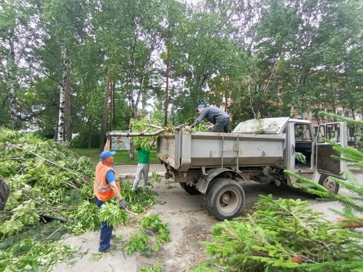 ⏺ Юг Хабаровского края восстанавливается после разрушительного циклона В Хабаровском крае ликвидируют последствия циклона, прошедшего накануне. Энергетики, спасатели и специалисты ЖКХ восстанавливают электроснабжение, очищают улицы от поваленных деревьев и мусора. Сильные ливни и шквалистый ветер привели к обрыву электропроводов, повреждению транспорта и кровель домов, повалено более 130 деревьев. Без энергоснабжения остались жилые дома в восьми населенных пунктах региона – всего 1958 зданий. В них проживает 78,9 тысяч человек. Как сообщили в комитете правительства края по гражданской защите, над устранением разрушений работают бригады ЖКХ и энергетиков – всего 19 бригад. Привлечено 75 человек и 19 единиц техники. Плановый срок полного восстановления энергоснабжения – до 20 часов 24 июля.