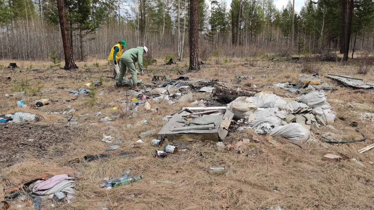 Владельцы дачных участков убрали почти 70 кубов мусора в лесу возле Смоленки Уборку мусора провели неравнодушные жители садового некоммерческого товарищества «Топограф». Они за два дня собрали и вывезли из лесного массива несколько больших грузовиков мусора. Минприроды Забайкалья поблагодарило председателя СНТ, которая смогла организовать уборку и привлечь других неравнодушных — а это порядка 30 человек. Аренда техники для уборки и вывоза мусора оплачивалась средствами, которые удалось собрать жителям СНТ. ‼ Минприроды напоминает: за выгрузку мусора с автотранспорта в неположенном месте законодательством РФ предусмотрены штрафы от 10 тысяч до 120 тысяч рублей. При повторном нарушение грозят конфискация транспортного средства и штрафы в двойном размере. Подписывайтесь:
