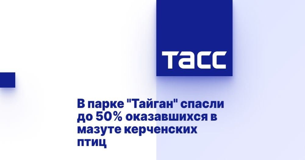 В парке "Тайган" спасли до 50% оказавшихся в мазуте керченских птиц ⁠ СИМФЕРОПОЛЬ, 26 января. /ТАСС/. Парк "Тайган" в Республике Крым спас до 50% птиц, оказавшихся в мазуте после разлива в Керченском проливе. При этом мировой опыт говорит, что обычно выживает менее 10%, рассказал ТАСС директор парка Олег Зубков.  "Около 50%, - ответил он на вопрос о том, какая часть поступающих птиц выжила, - мировой опыт говорит, что выживает 0-10%, но только в том случае, если быстро выпускать обратно в природу. Если держать птиц в зоопарке в тепле, бактерии размножаются, и с этим ничего не сделаешь. Птица - вольная, морская, в искусственной среде не живет".  В "Тайган" привозят птиц с территории Республики Крым и города Севастополя. Зубков отметил, что в последнее время поступает мало особей. Сейчас в парке...  Подробнее>>>