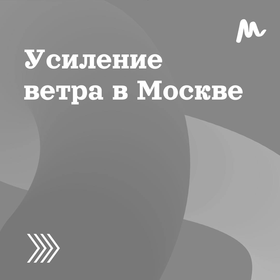 Сильный ветер ожидается в Москве 29 и 30 мая По прогнозам синоптиков, его порывы могут достигать 17 м/с. Главное управление МЧС России по Москве рекомендует: паркуйтесь в безопасных местах на улице обходите рекламные щиты и шаткие конструкции будьте внимательны управляя автомобилем не оставляйте детей без присмотра При возникновении аварийных ситуаций следует звонить по телефонам: 101 или 112. Берегите себя и своих близких! Москва о важном