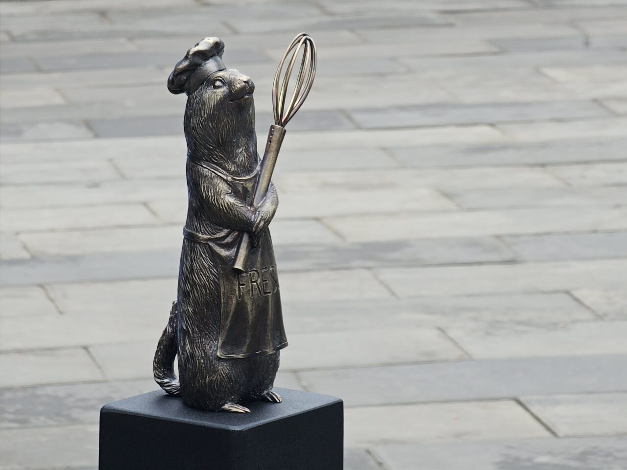 Поваренок Веня новый бронзовый суслик в семействе грызунов Новую фигурку суслика установили возле ресторанов на Театральной площади Веня с венчиком в лапах подарок городу от рестораторов Создал его скульптор Андрей Кошелев автор других грызунов установленных по городу в этом году Теперь у гостей города будет еще одна точка для фото Фото gazetankk Подписаться на канал