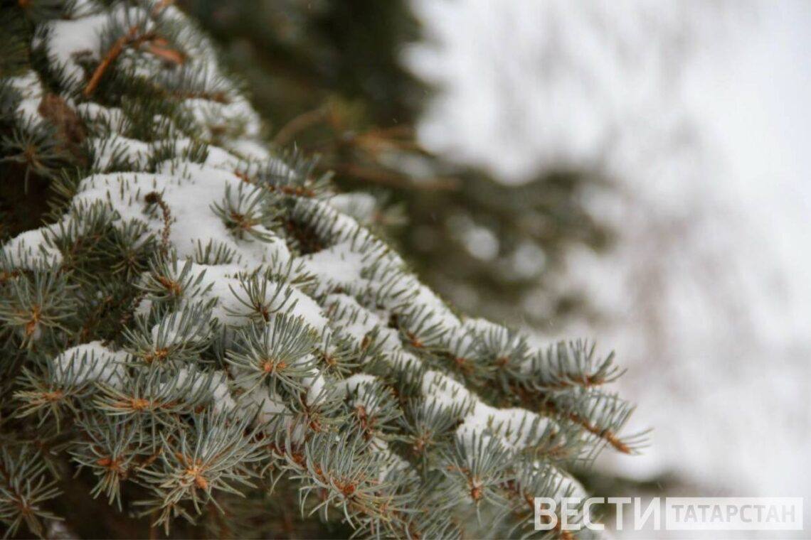 В Татарстане ожидается снег и метель  Об этом сообщили в Гидрометцентре РТ.  Ветер юго-западный, 6–11 м/с, с порывами до 15 м/с. После холодной ночи  -3, -8 градусов  днем в республике потеплеет до -6, -1 градуса.  Синоптики предупреждают о гололедице на дорогах.  Подписаться   Сообщить новости