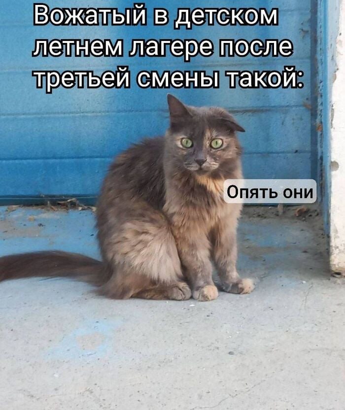 Детский отдых в Забайкалье — 512 лагерей откроется в 2025 году В этом году в регионе для детского отдыха и оздоровления откроются 512 организаций, сообщили в Минобразования Забайкалья. Всего запланировано: • 47 загородных стационарных лагерей • 453 пришкольных лагеря с дневным пребыванием • 5 санаторно-курортных организаций • 7 палаточных лагерей В течение года пройдет 615 смен. Все учреждения внесены в официальный реестр. Лагерь "Огонёк" в Читинском районе работать не будет оно и понятно . ZAB.RU