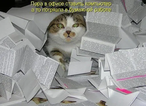 Путин поручил снизить бумажную нагрузку на врачей и учителей Президент России дал поручение правительству и Госдуме снизить документационную нагрузку на работников бюджетной сферы в первую очередь на врачей и педагогов Соответствующий перечень поручений по итогам участия главы государства в пленарном заседании съезда РСПП и встречи с представителями деловых кругов состоялись 26 марта опубликован на сайте Кремля Кабмину и депутатам предстоит включить необходимые мероприятия в отраслевые программы повышения производительности труда в рамках нацпроекта Эффективная и конкурентная экономика Доклад о выполнении поручения должен быть представлен до 1 августа Ответственные премьер министр Михаил Мишустин и спикер Госдумы Вячеслав Володин  Обратная связь  Подписаться  Подписаться в MАКС
