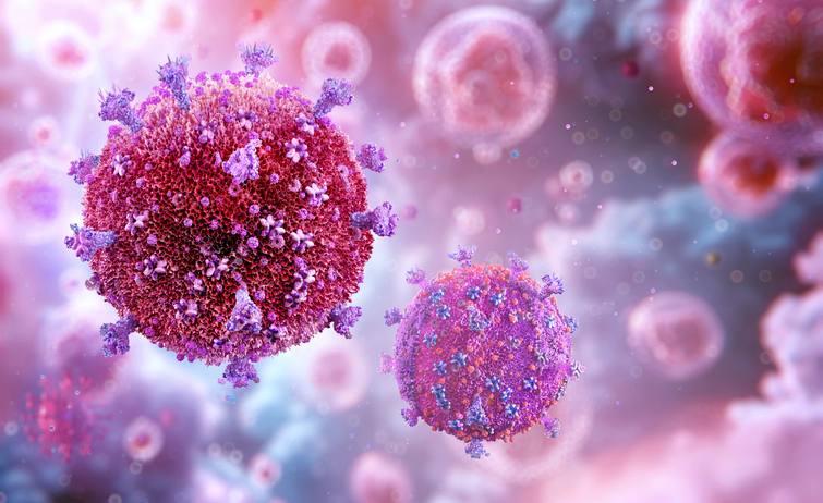 Учёные приблизились к созданию однократной вакцины от ВИЧ Американские молекулярные биологи из Вистаровского института разработали экспериментальную вакцину против вируса иммунодефицита человека Прототип препарата успешно прошёл доклинические испытания на приматах и показал обнадёживающие результаты Результаты опубликованы в Nature Immunology В основе вакцины лежит специально созданный белок оболочки вируса Он действует как тренажёр для иммунной системы помогает ей распознавать уязвимые участки ВИЧ и формировать нейтрализующие антитела Такие антитела способны блокировать вирус ещё до того как он успевает заражать клетки организма Главная особенность разработки выраженный иммунный ответ уже после одной инъекции Через несколько недель у подопытных животных сформировалась защита от вируса а повторное введение препарата дополнительно усиливало уровень антител Создание вакцины против ВИЧ остаётся одной из самых сложных задач медицины Вирус быстро мутирует умеет маскироваться и разрушает клетки иммунной системы поэтому традиционные подходы к вакцинации долгое время не давали стабильных результатов Ранее для получения иммунного ответа требовалось несколько инъекций иногда до 7 10 доз Сейчас препарат находится на стадии доклинических исследований Новая технология может значительно упростить профилактику заболевания и повысить доступность вакцинации в будущем Здесь можно посмотреть как учёным удалось с помощью технологии CRISPR удалить ДНК ВИЧ 1 из иммунных клеток БиоТехнологии