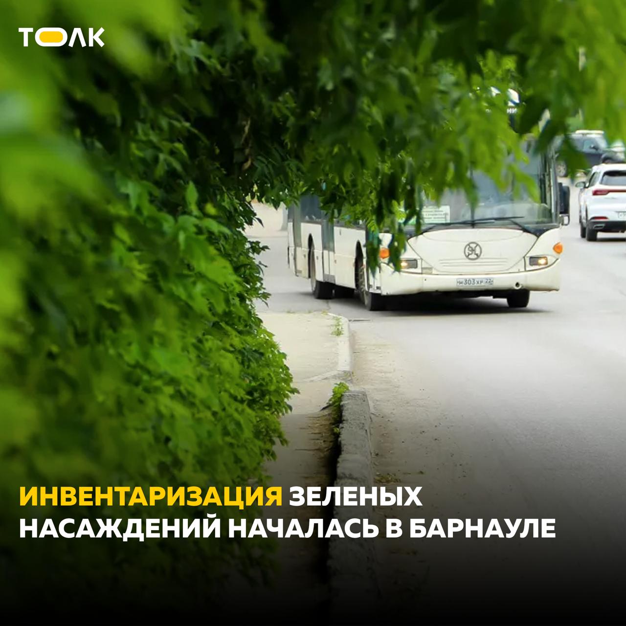 Всю растительность Барнаула пометят бирками с QR-кодами Пересчитать все деревья и прочую растительность необходимо для дальнейшего формирования "зеленого" реестра. Сперва работы проведут в Ленинском и Железнодорожном районах, а в Центральном и Октябрьском чуть позже. В ходе инвентаризации будут учитываться координаты дерева, его вид и примерный возраст. Обследованию подлежат не только деревья, но и кусты, газоны, цветочные клумбы, элементы ландшафтного дизайна, а также природная растительность вдоль дорог. "Подрядной организацией будет промаркирован каждый объект озеленения биркой с индивидуальным номером и информационным QR-кодом. Подрядная организация ООО "Спецсервис" убедительно просит не удалять маркировочные обозначения, так как это может осложнить работы по инвентаризации", – предупредили горожан в мэрии. ТОЛК
