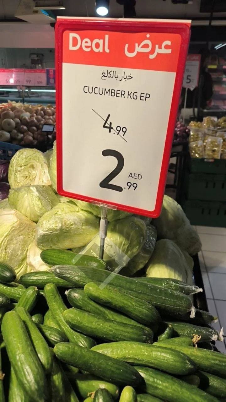 Огурцы в Дубае почти в 10 раз дешевле чем в России В пустынном регионе килограмм стоит всего 63 рубля 3 дирхама тогда как в российских магазинах цена держится на уровне 500 600 рублей banki oil