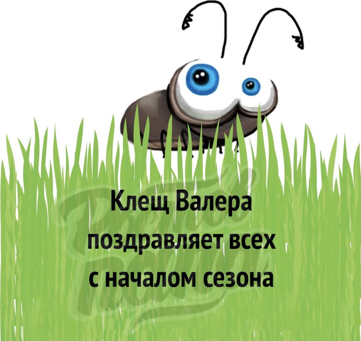 Из-за аномального потепления в Ростовской области проснулись клещи.   Новости №1 в Ростове  Прислать новость/фото