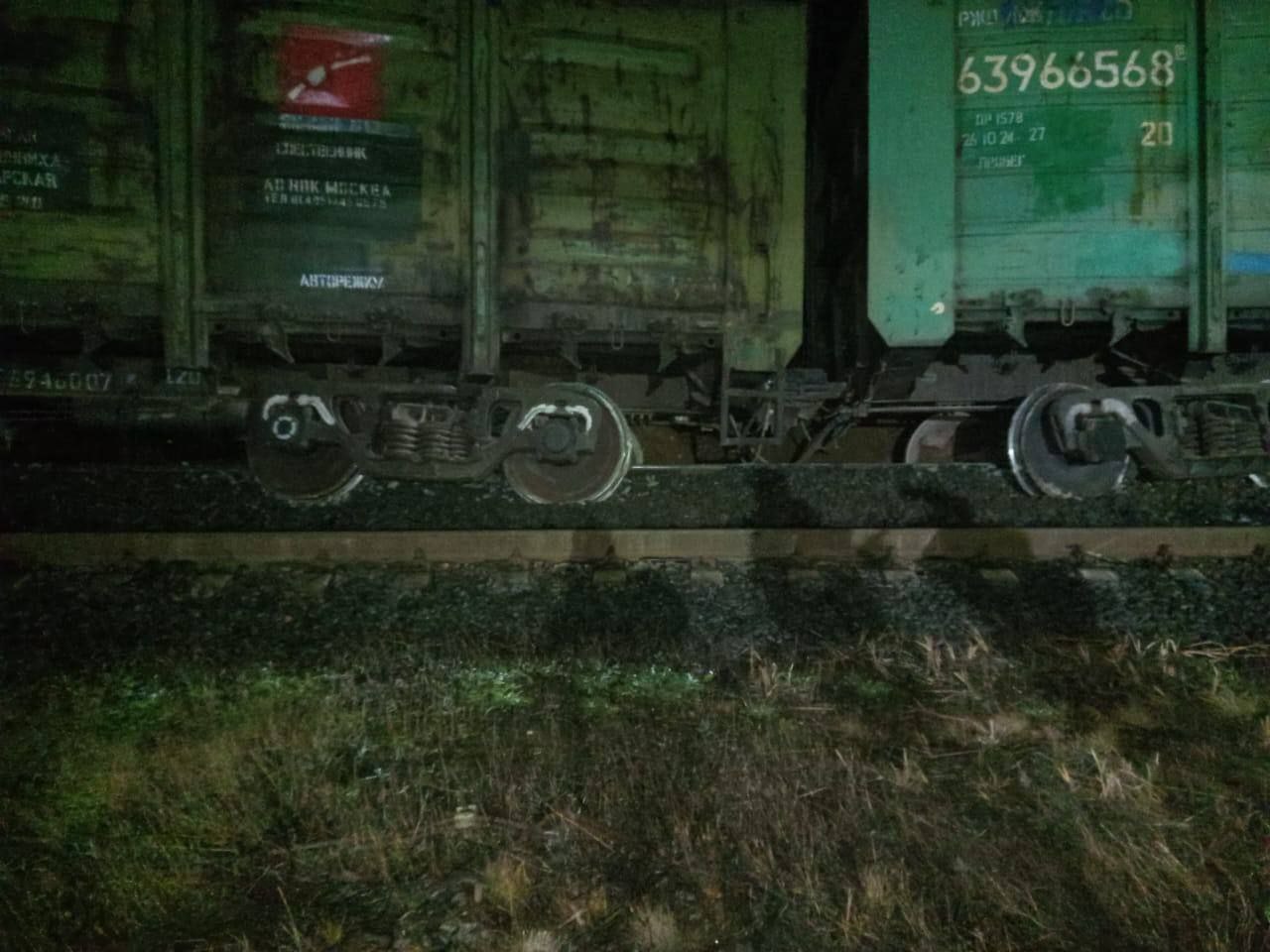 Ночью на железнодорожной станции Янега Ленинградской области произошел сход 4 грузовых вагонов с щебнем без опрокидывания сообщили в Северо Западной транспортной прокуратуре Задержаны пассажирский поезд сообщением Санкт Петербург Петрозаводск и в обратном направлении а также 17 грузовых составов PROtransport