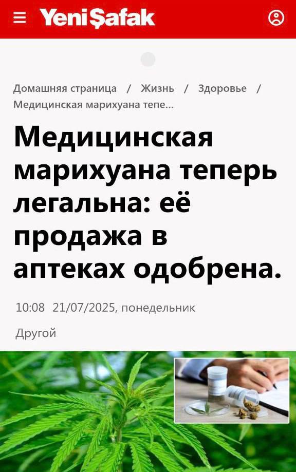 В Турции легализовали продажу медицинской конопли в аптеках — по рецепту и под контролем Турецкий парламент принял закон, допускающий реализацию медицинской конопли в аптечной сети с содержанием ТГК не более 0,3%. Препараты будут отпускаться исключительно по рецепту и подлежать мониторингу через государственную фармацевтическую систему.
