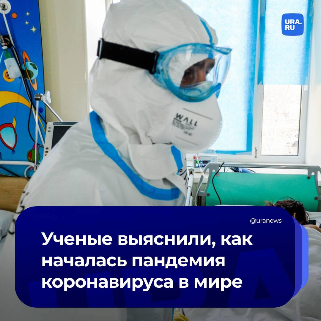 Очагом распространения коронавируса стал рынок морепродуктов в Ухане, доказали американские и европейские ученые.   По их данным, на рынке продавали, в том числе, млекопитающих, способных заражаться коронавирусом. К ним относились циветы, бамбуковые крысы и енотовидные собаки. Из собранных образцов удалось обнаружить, что животные действительно были инфицированы. При этом большинство лавок, где незаконно продавали этих зверей, находились в западной части рынка, где и зафиксировали первые случаи заболевания, говорится в статье журнала Сell.