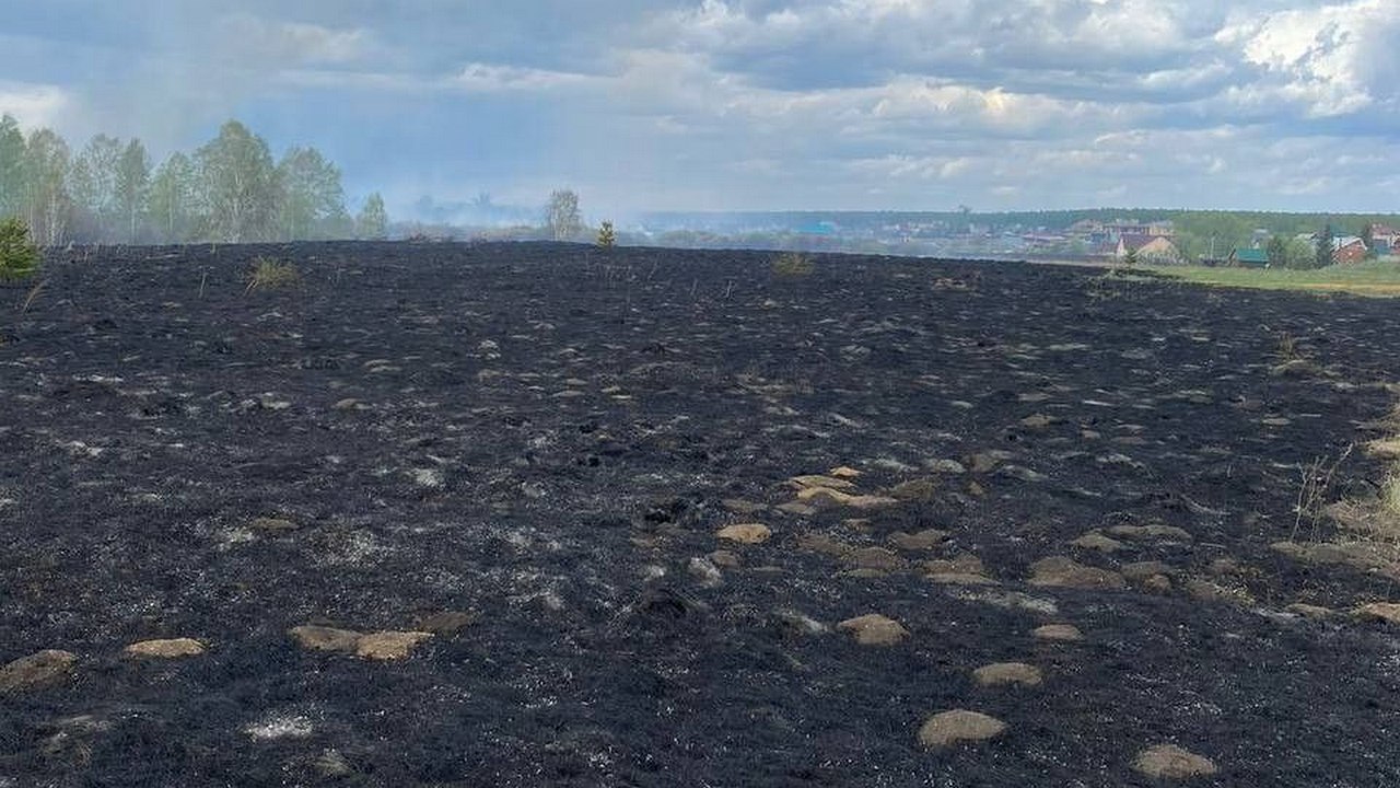 За лесной пожар житель Челябинска выплатит более 600 тысяч рублей Мужчина, по вине которого разгорелся крупный лесной пожар, выплатит несколько сотен тысяч рублей. Деньги с виновника ЧП взыскал прокурор, это компенсация ущерба лесному фонду. В пресс-службе прокуратуры Челябинской области отметили, что речь идет о пожаре, который произошел 19 апреля возле дачного товарищества "Курчатовец-2". Причиной стали сварочные работы на одном из участков: судя по всему, во время них и вспыхнула трава. Пламя перешло в лес и переросло в пожар, который охватил 3,5 гектара. Огонь уничтожил траву и деревья. Мужчину уже привлекли к ответственности: за нарушение правил пожарной безопасности он выплатил 25 тысяч рублей штрафа. Однако в прокуратуре также взыскали сумму ущерба, который челябинец причинил лесу. "Решением суда исковые требования прокурора удовлетворены, с ответчика взыскана компенсация в размере 622 тыс. рублей", – комментируют в областной прокуратуре. Фото: пресс-служба прокуратуры Челябинской области Вести Южный Урал Челябинск