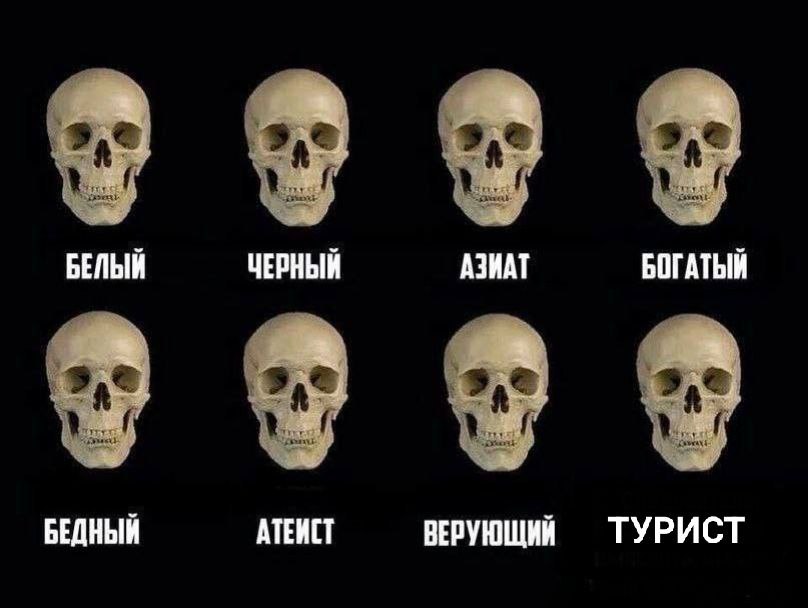 На Крымском мосту задержали женщину с человеческим черепом в сумке. Она объяснила это тем, что еще при жизни своего мужа пообещала показать ему весь мир, и теперь возит его останки по городам. Все документы у неё, подтверждающие это, оказались в порядке. Л – любовь. Прислать новость