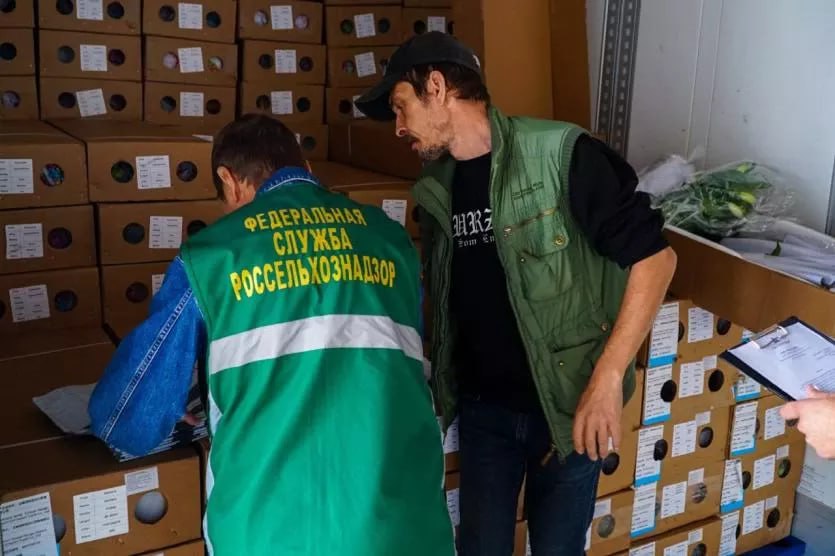 В Челябинск поступило около 170 тысяч срезов китайских цветов Во время фитосанитарного контроля в отношении импортной подкарантинной продукции из Поднебесной на Южный Урал прибыло 168 2 тысячи срезов цветов и зелени для составления букетов были досмотрены все виды цветов От каждого вида специалисты отобрали пробы для проведения лабораторных исследований ПОДРОБНЕЕ URALPRESS RU