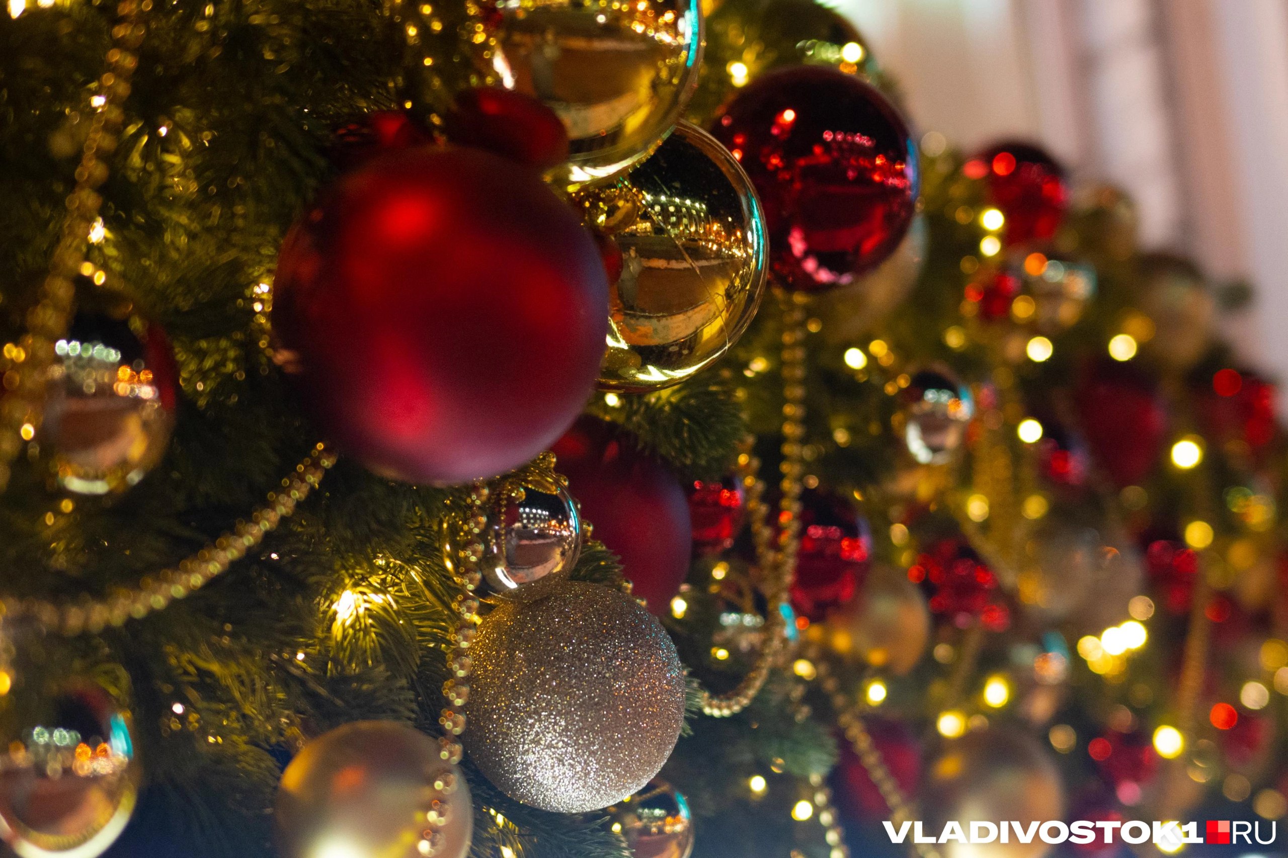 До Нового года осталось совсем немного Многие уже украсили свои дома и квартиры а на улицах городов появились праздничные символы Владивосток всеми силами продолжает готовиться монтаж городка на площади каток теплушка фонари и яркие фотозоны Атмосфера новогоднего настроения становится все более ощутимой Мы решили подсчитать сколько стоит нарядить елку если желание украсить дом пришло за две недели до праздника Наш итог в материале Подписаться