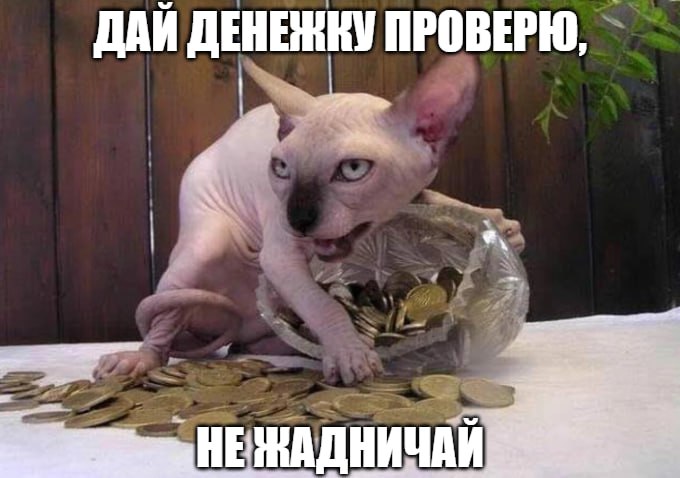 Мошенники нашли новый способ отжать деньги у россиян Декларирование средств уже не в моде Теперь аферисты заявляют что должны изъять наличные якобы для проверки подлинности купюр Все это ну конечно же по поручению правоохранителей или при проведении дистанционного обыска Как напомнили в МВД в российских законах вообще нет такого понятия как дистанционный обыск а изъятие денег может проводиться только в присутствии следователя с участием понятых и оформлением официальных документов   Подпишитесь на Абзац TG VK Дзен MAX Rutube