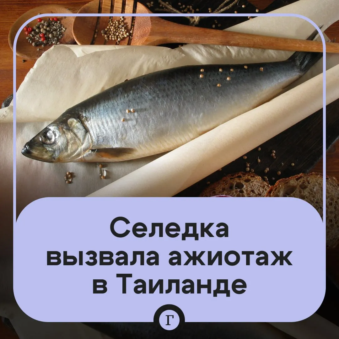 Бородинский хлеб и селедка вызвали ажиотаж в магазинах Таиланда По данным СМИ с местных продуктовых полок очень быстро исчезают сельдь и продукты российского производителя детского питания Кроме того вырос спрос на красную икру российского производства этот продукт начали продавать в Таиланде только в первом квартале 2026 года Также фиксируется спрос и на бородинский хлеб его реализуют в таиландских сетевых магазинах с апреля Читайте Газету Ru в MAX