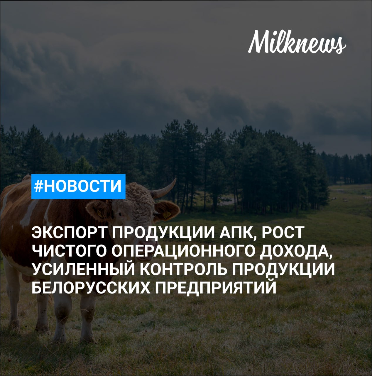 Россия в 2025 году снизила экспорт продукции АПК на 4 1 до 40 9 млрд Агрокомплекс имени Н И Ткачева увеличил выпуск сыров в 2025 году на 32 В Россельхозбанке ожидают роста чистого операционного дохода за 2025 год на 25 РСХН ввел усиленный контроль продукции двух молочных белорусских предприятий Известия ФАС не поддерживает приравнивание маркетплейсов к сетевой рознице