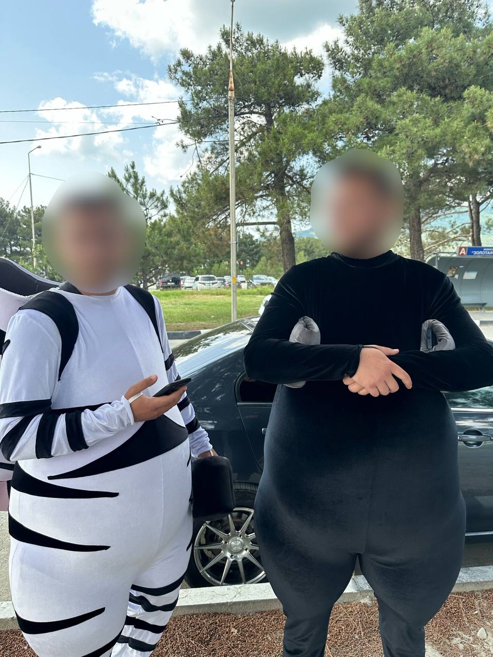 "Зебра" и "Единорог" задержаны в Геленджике за нелегальный фотобизнес  В Геленджике полиция задержала двух молодых людей в костюмах зебры и единорога, которые предлагали платные фото на улице Туристической.   Нарушители из Кабардинки привлечены к ответственности за незаконную предпринимательскую деятельность.  Им грозит штраф до 2000 рублей. Ростовые куклы изъяты.