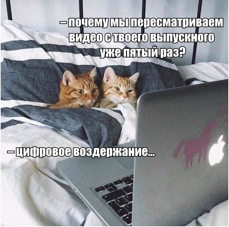 В России предложили выключать интернет по ночам для повышения рождаемости Современные молодые пары все реже задумываются о создании большой семьи, предпочитая проводить свободное время в гаджетах и социальных сетях, заявил «Абзацу» депутат Брянской областной думы Михаил Иванов. По его словам, для решения проблемы стоит ограничивать доступ в интернет таким ячейкам общества без детей. Депутат отметил, что речь идет не о полном запрете, а о так называемом цифровом воздержании в ночные часы. Например, в промежуток с 23:00 до 02:00: «Интернет стал новой формой зависимости, которая разъедает основы семьи. Молодые люди, вместо того чтобы общаться друг с другом, строить отношения и задумываться о детях, часами листают ленту, играют в игры или смотрят сериалы. Это не просто вредная привычка, это угроза демографической безопасности страны. Мы должны создать условия, при которых у пар появится стимул вернуться к реальному общению и осознанному родительству». Подпишитесь на «Абзац» Добавьте «Абзац» в ленту «Дзена»