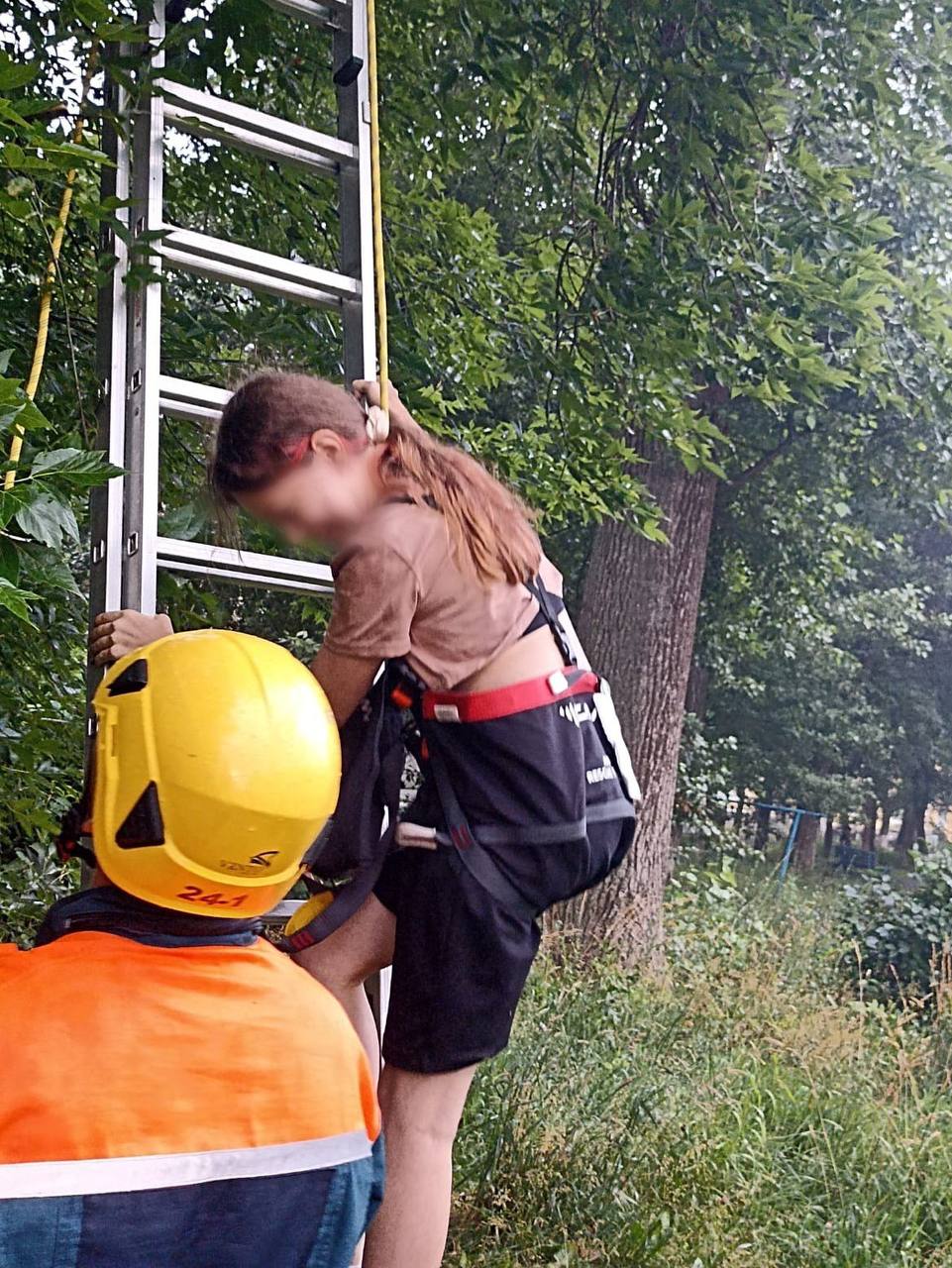 Уфимские спасатели сняли с дерева девочку с котенком Домашний любимец 13-летней уфимки вовремя прогулки взобрался на дерево, и как это часто бывает, не смог спуститься вниз. Девочка решила самостоятельно решить проблему и взобралась за котёнком на высоту около 8 метров. Как оказалось, подняться на дерево было значительно легче, чем спуститься. К счастью, они с пушистиком недолго просидели на высоте, так как их вовремя увидела в окно соседка. Она то и вызвала спасателей.