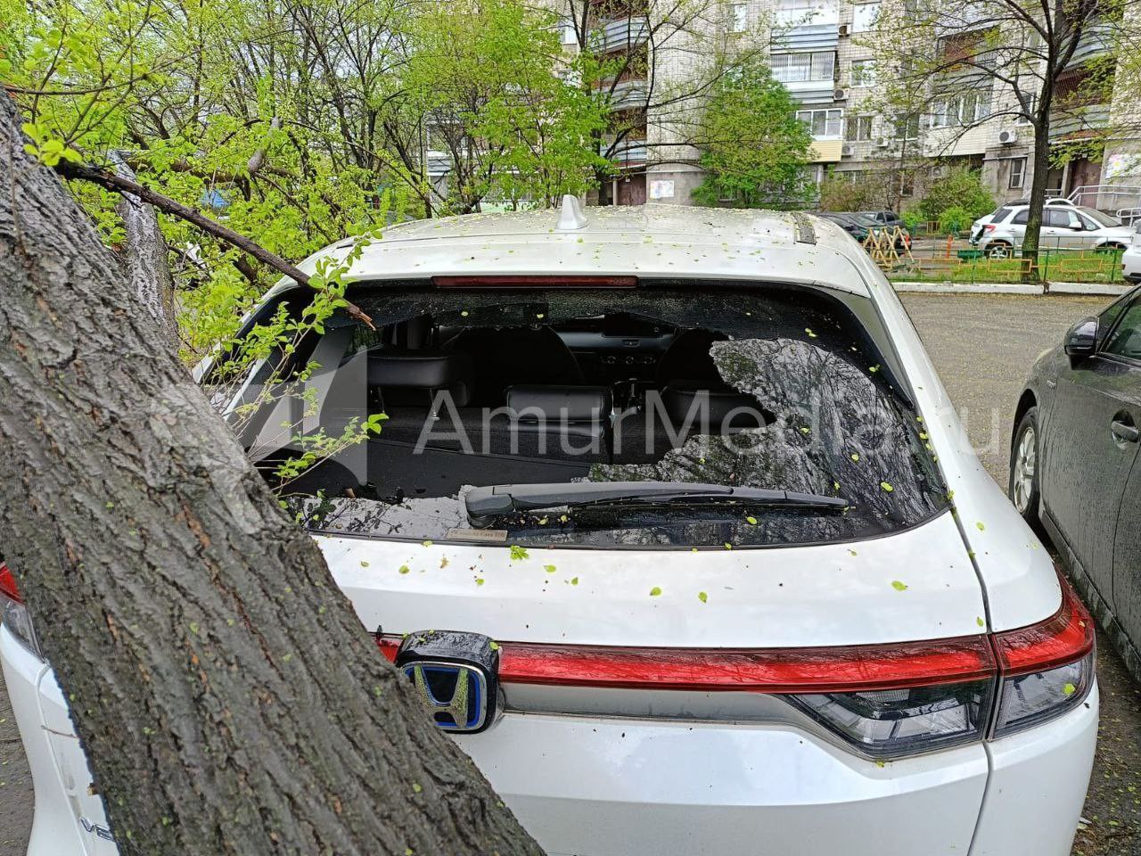 #нампишут Последствия ночной грозы в Хабаровске Во дворе дома по адресу Санитарная, 16, минувшей ночью на два припаркованных автомобиля упало дерево. У одного автомобиля разбито заднее стекло. #ГородскиеХроники AmurMedia Прислать новость