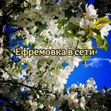 Аватар Телеграм канала: Ефремовка в сети 🍒