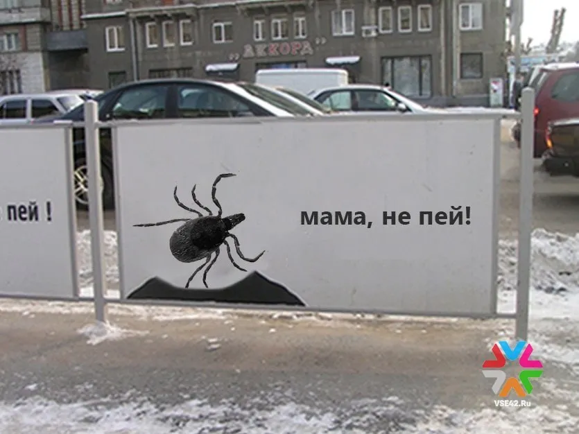 В парках Кемерова распылят яды против сосущих тварей Как сообщает администрация города этой весной обработают парки скверы кладбища и прилегающие зоны общей площадью 451 15 гектаров В списке популярных мест парк Победы имени Жукова линейный парк бульвара Строителей Кузбасский парк часть территории Рудничного бора лесной массив у микрорайона Серебряный бор Березовая роща в Кировском районе и другие зелёные зоны В мэрии отметили что подрядчика для работ уже нашли Обработка будет проводиться только в сухую и тёплую погоду при удачном прогнозе ее планируют завершить до 12 мая Если клещи все же останутся и специалисты их обнаружат в ходе проверки подрядчик выполнит дополнительную обработку Подписаться на нас в MAX     Подписаться на VSE42 Ru