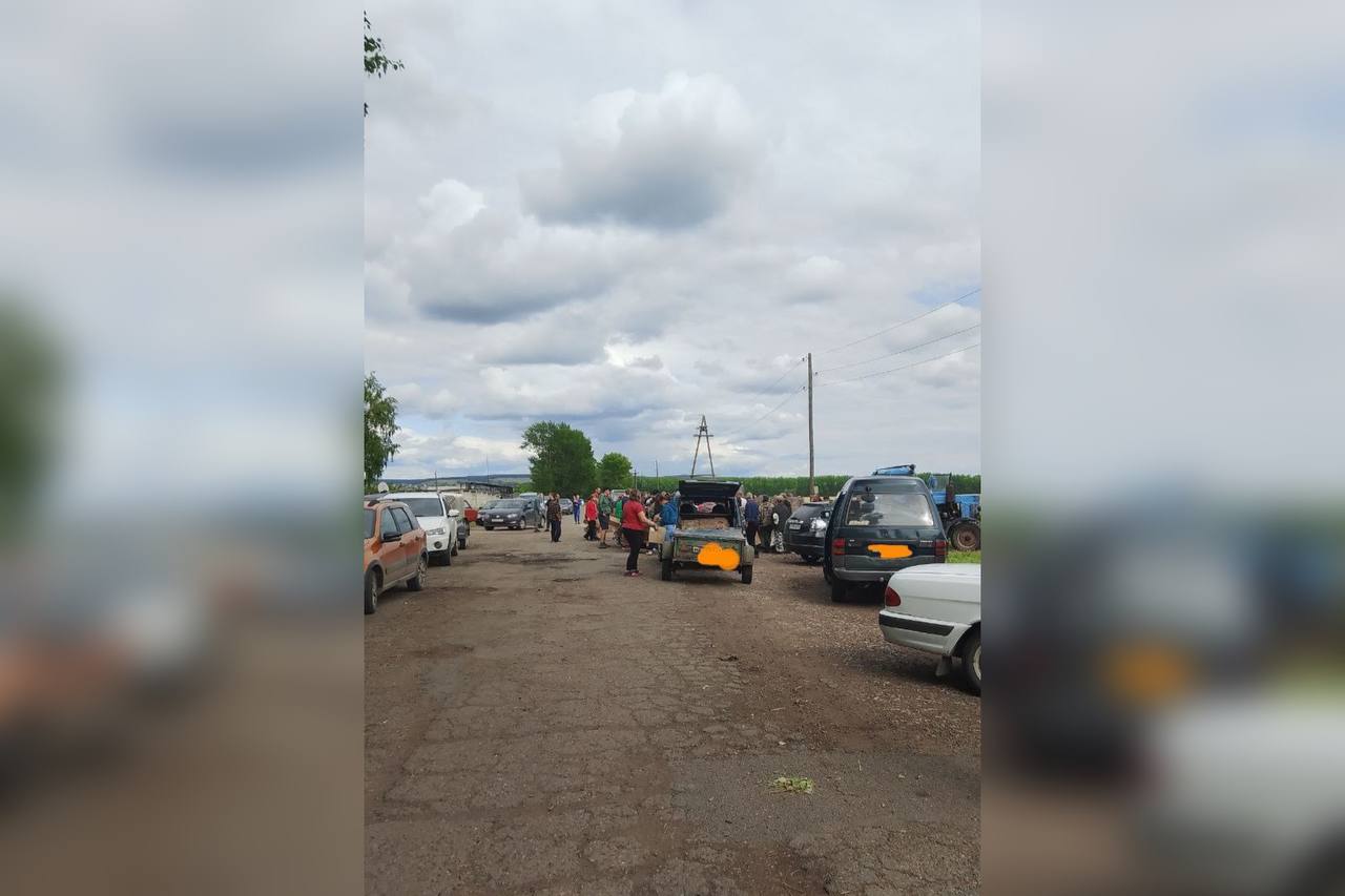В Новой Солянке жители устраивают драки в очереди за бесплатными курами В селе Новая Солянка Рыбинского муниципального округа разворачиваются страсти из-за бесплатных кур. Дело в том, что местная птицефабрика находится на грани закрытия, так как предприятие несет убытки из-за высокой себестоимости производства яиц, которая превышает закупочные цены. В нашем крае за год яйца подешевели на 21%. Сейчас птицефабрика бесплатно раздает кур-несушек. Объявление появилось в местных пабликах. - В связи со сложившейся ситуацией ООО «Налобинская птицефабрика» раздает бесплатно курицу-несушку возрастом 8, 12, 18 месяцев. Срок до 10 августа. Оставшимся курицам придется ждать своей участи. После их ликвидируют. В погоне за «халявой» жители округа стали съезжаться к птицефабрике. Начался ажиотаж, ругань и даже драки. Ольга Миллер