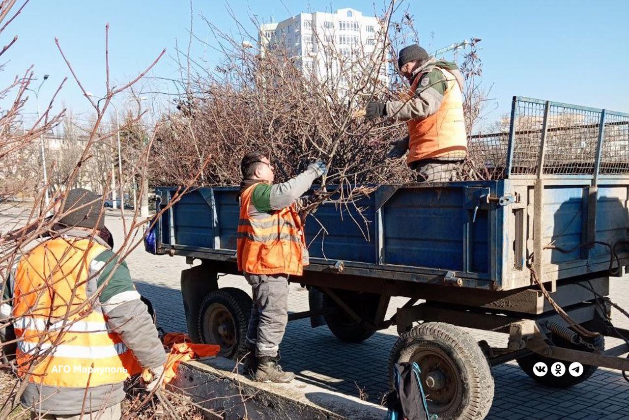 Коммунальщики облагораживают парк в Приморском районе   Накануне в парке имени 50-летия Октября работники зеленого строительства провели санитарную обрезку деревьев.    Как отметили на предприятии, эта процедура необходима для поддержания здоровья, обеспечения их правильного роста и формирования красивой кроны.