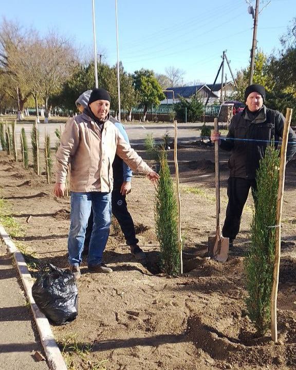 На территории Тавричанской школы высадили свыше 40 хвойных саженцев  В ходе экологической акции участники очистили территорию от мусора, вывезли аварийные акации и орехи. На убраной территории высадили 17 туй, 3 можжевельника, 20 кипарисов и 1 сосну.   “Все саженцы уже высажены, и теперь они радуют глаз и создают атмосферу уюта и гармонии на территории школы”, — поделились в администрации Каховского муниципального округа.    ПОДПИСАТЬСЯ НА ТАВРИЮ