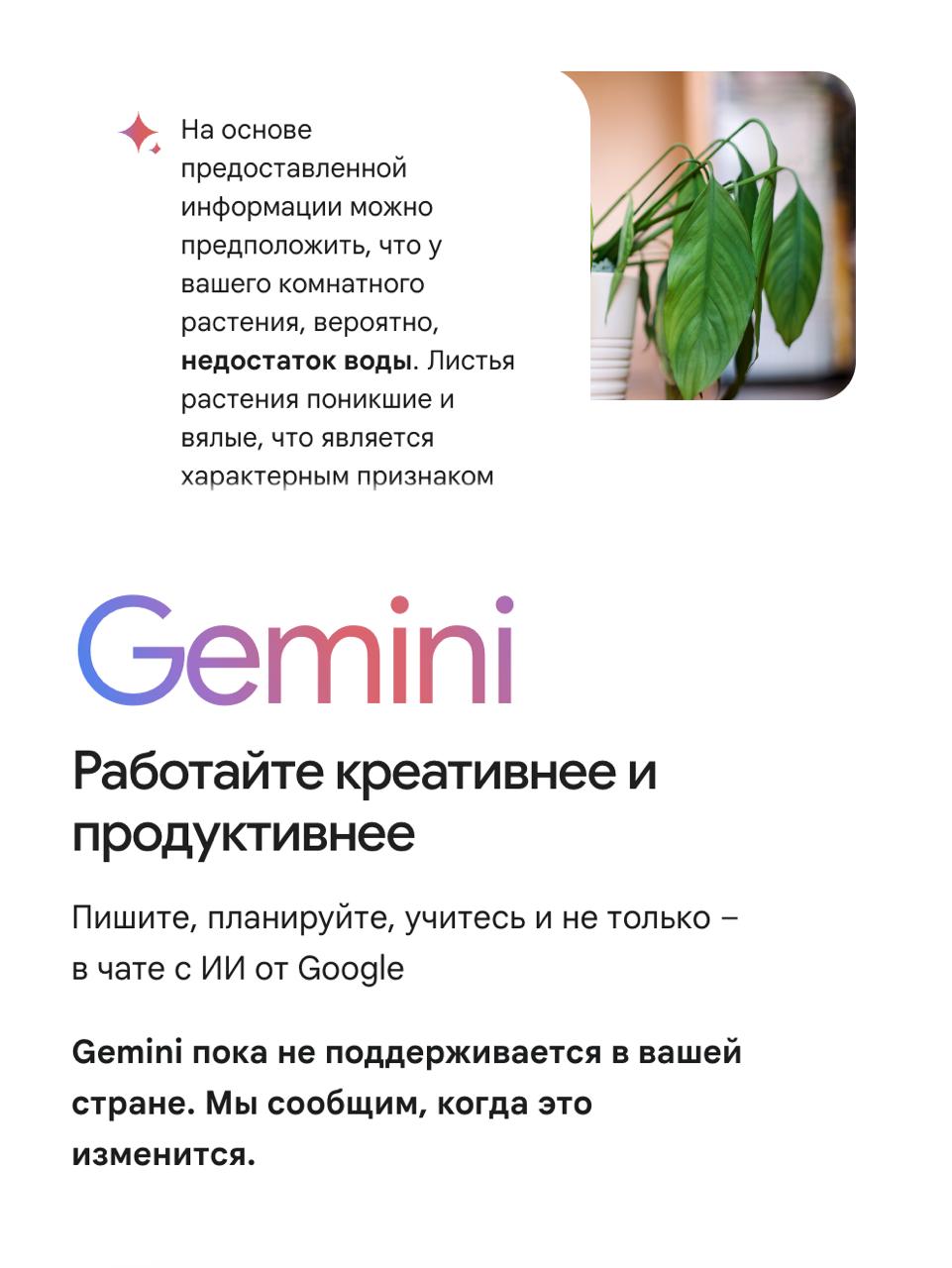 Анекдот дня: ночью в России и Беларуси внезапно заработала Gemini от Google — без VPN.   Но утром после переговоров c Трампом Gemini вновь оказался недоступен.    Подписывайся на «ГлавХак»  --------------------------------- YouFast VPN™   AML бот   Шерлок
