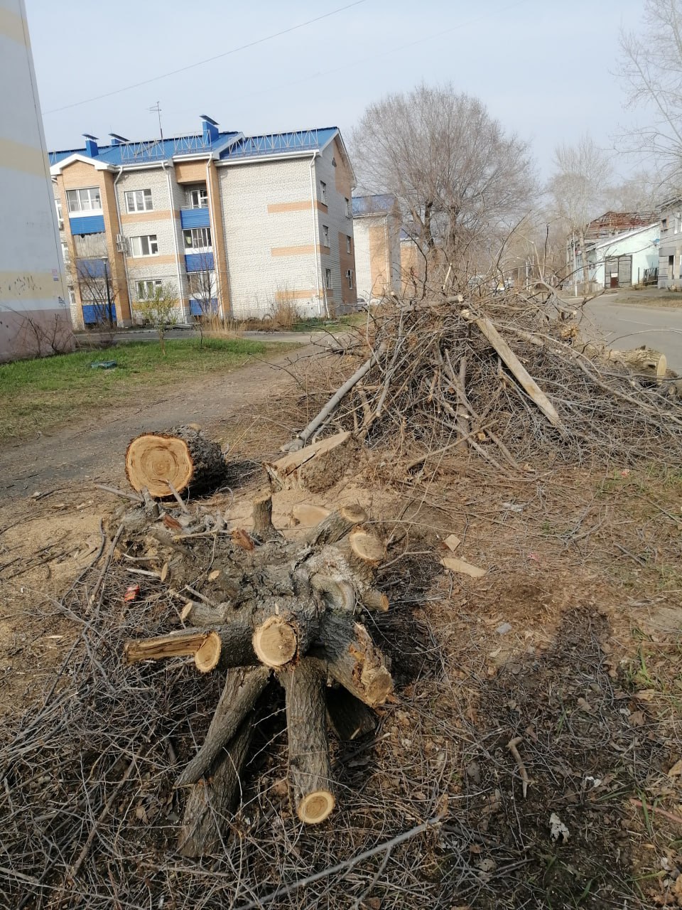 Вырубили деревья  Жители Комсомольска возмущаются из-за рубки здоровых деревьев на Пионерской и Красноармейской. Там вырубили молодые клёны, берёзы, яблони и ильмы, которые росли в отдалении от зданий.    Подписаться   Прислать новость